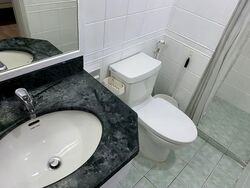 Changi Court (D16), Condominium #533597791